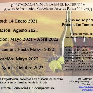 ayudas-2021-22