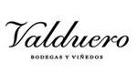 Valduero Bodegas y Viñedos